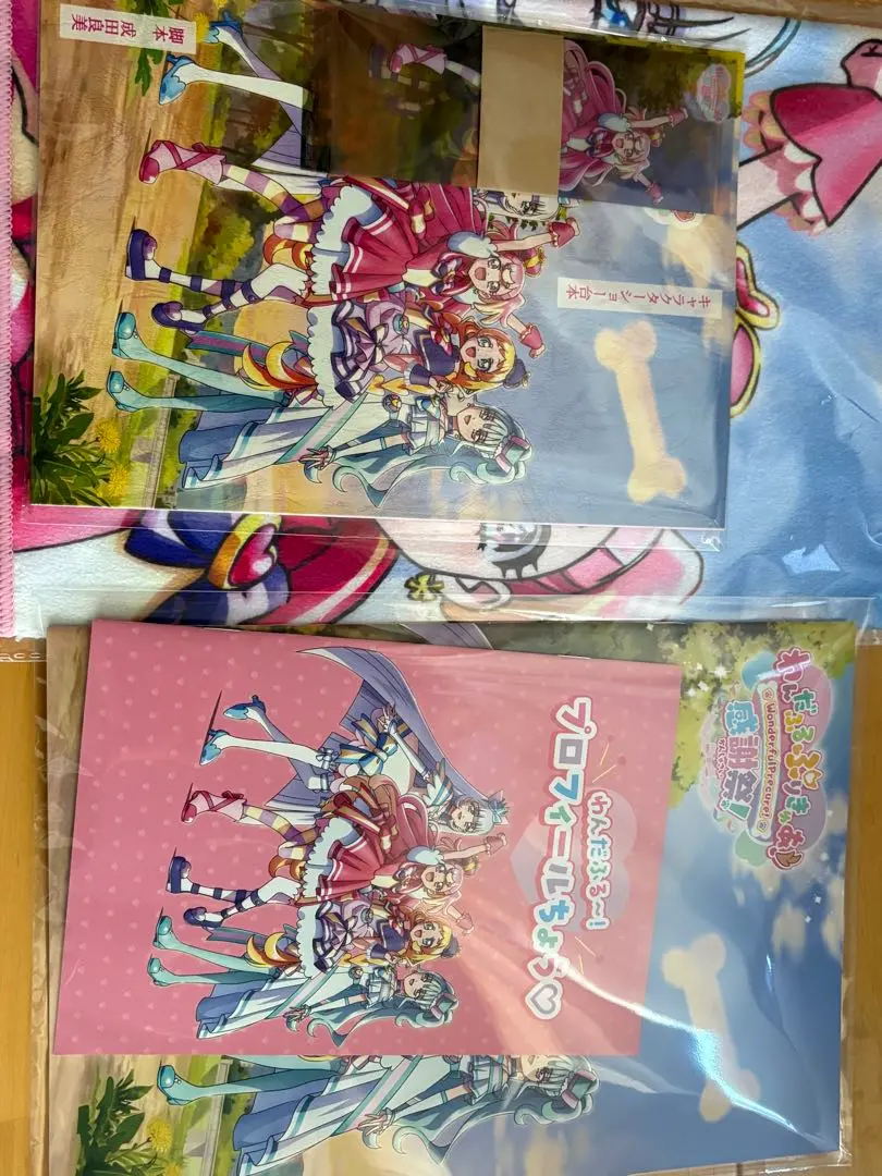わんぷり感謝祭　特典　キャラクターショー台本　チケットファイル わんぷり感謝祭 キャラクターショー台本｜Yahoo!フリマ（旧