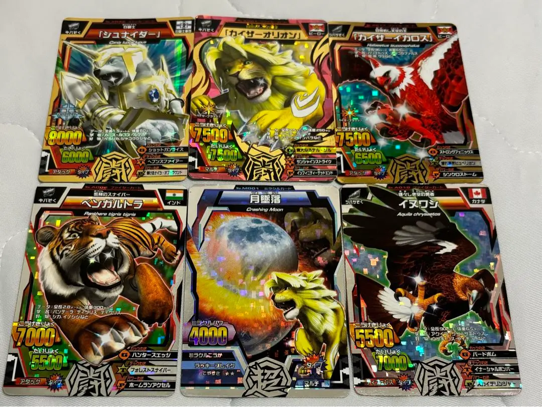 アニマルカイザー　カード　 ハクトウワシ　月墜落　セット アニマルカイザー カード ハクトウワシ 月墜落 セット