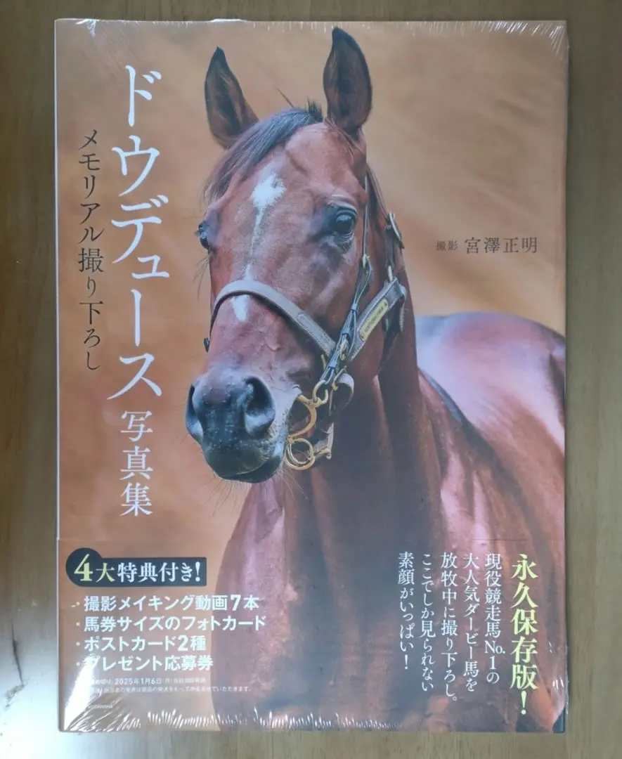 ドウデュース写真集メモリアル撮り下ろしポスター当選品最終値下げ ドウデュース写真集メモリアル撮り下ろしポスター当選品最終