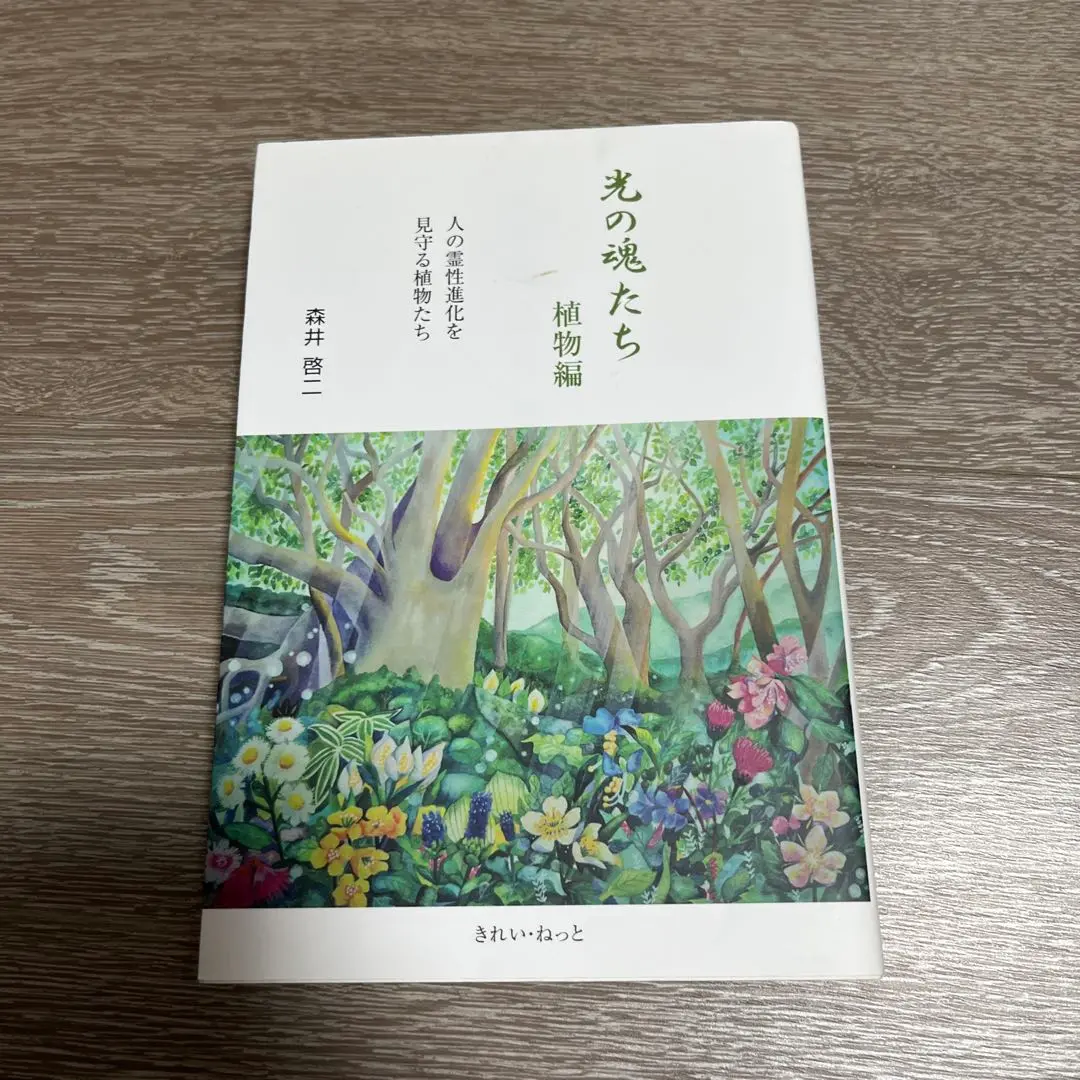 光の魂たち 植物編 人の霊性進化を見守る植物たち 光の魂たち 植物編 人の霊性進化を見守る植物たち | 森井啓二