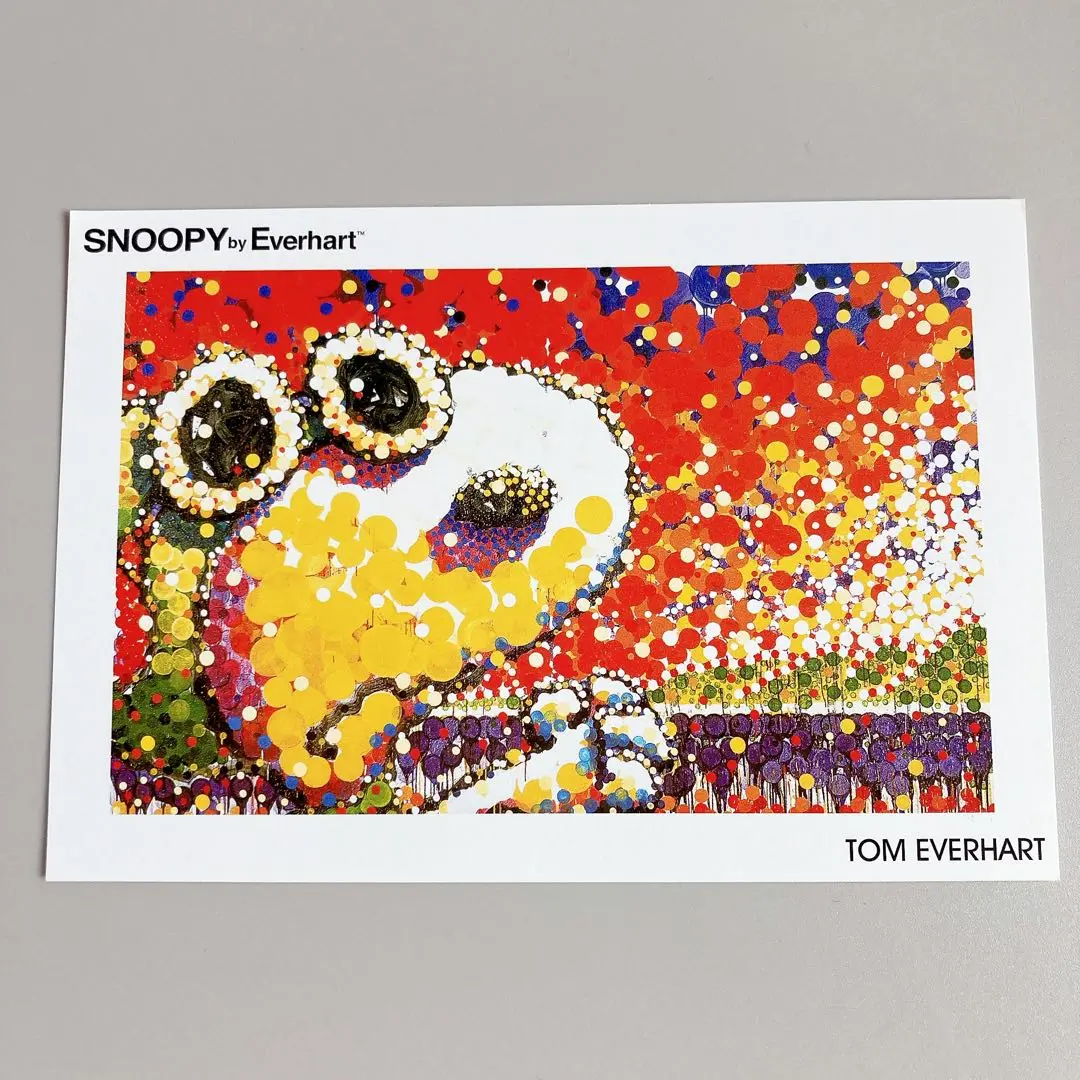 TOM EVERHART トム・エバハート スヌーピー WHO PLACED THE WAKE