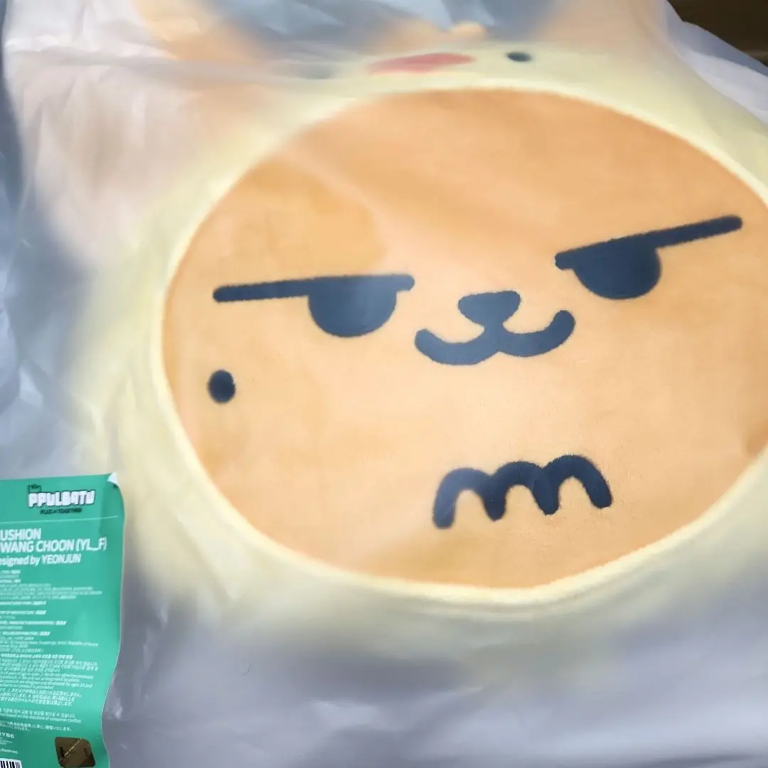 TOMORROW X TOGETHER TXT ファンチュン クッション TXT】公式 PPULBATU ファンチュン クッション ＜新品未使用＞