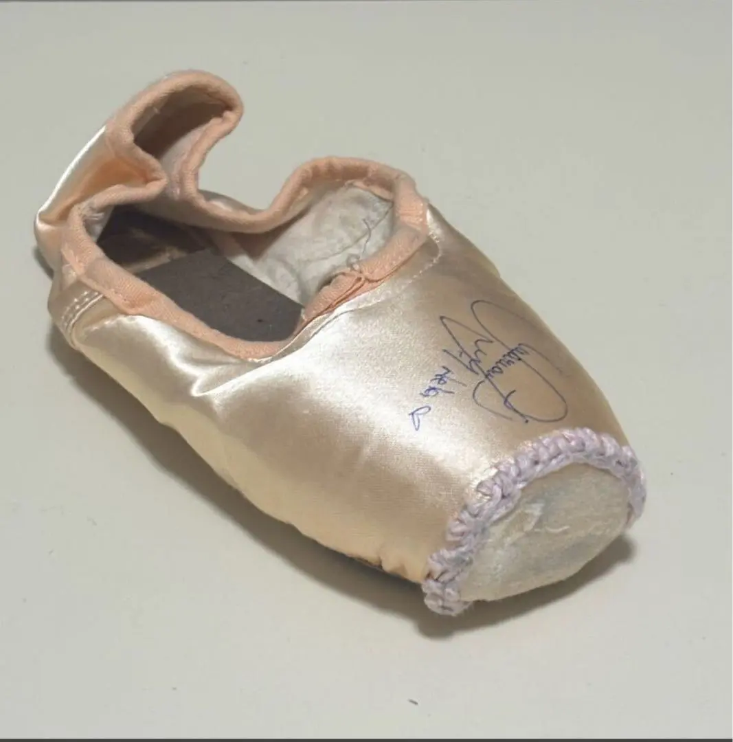 エルベール　本人着用　シューズ　サイン入り 記憶に残るキャンバス：エア ジョーダン 20 Doernbecher