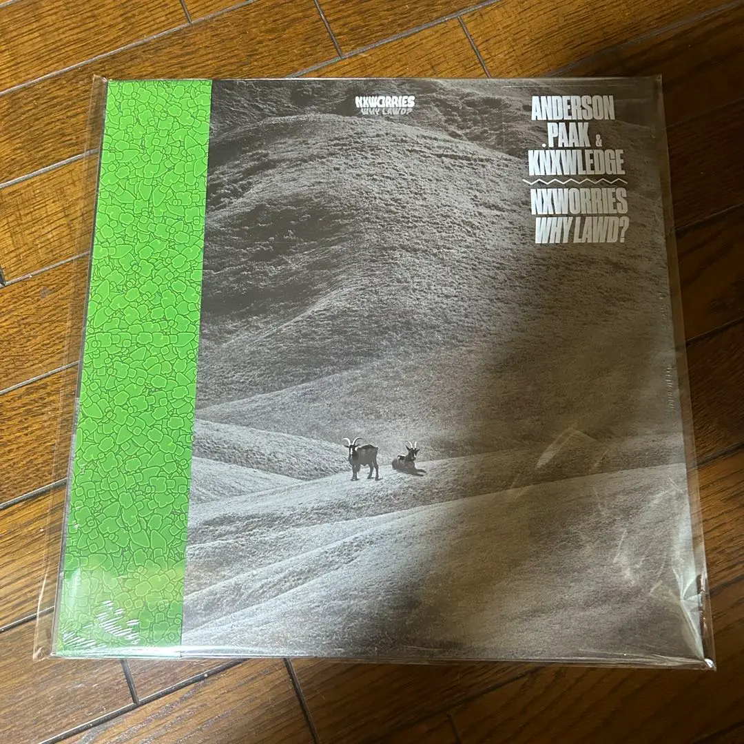 新品未使用 Knxwledge \"HUD DREEMS\" 2LP 2025年最新】knxwledge レコードの人気アイテム - メルカリ