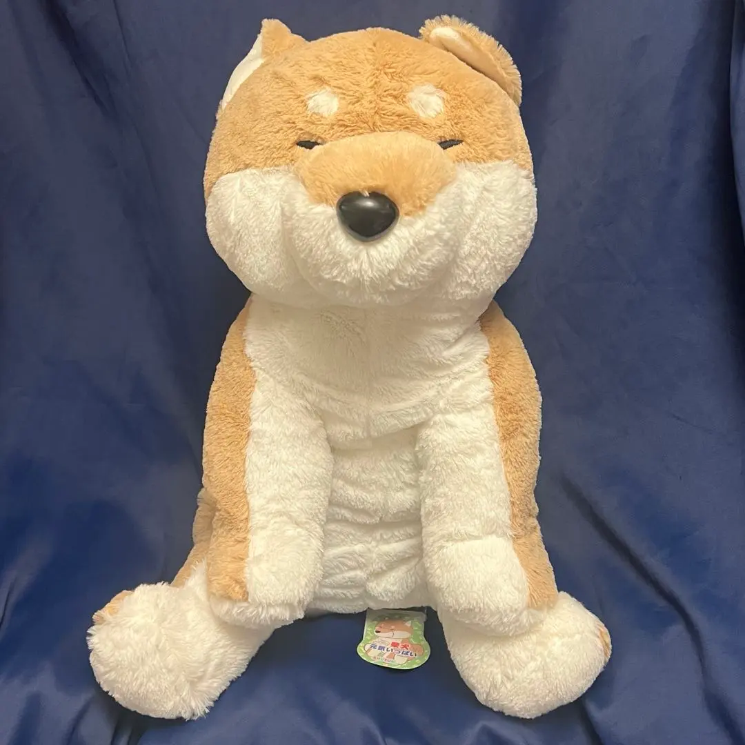 Thumbnail of Kuttari Shiba Inu, full of energy, Shibasuke, smiling, Ultra BIG plushie, new