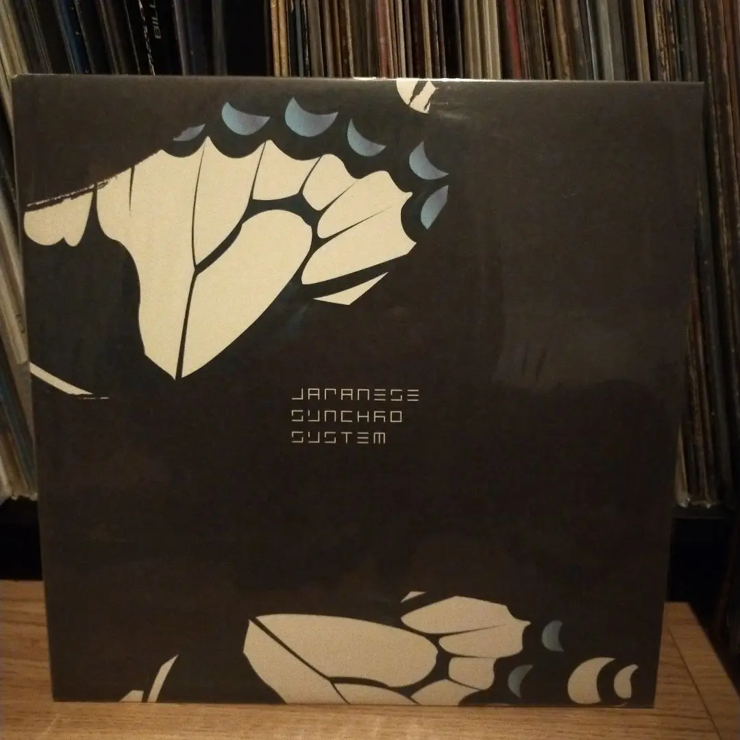 ブルーハーブ　JAPANESE SYNCHRO SYSTEM レコード9枚セット Japanese synchro system レコード詰め合わせ