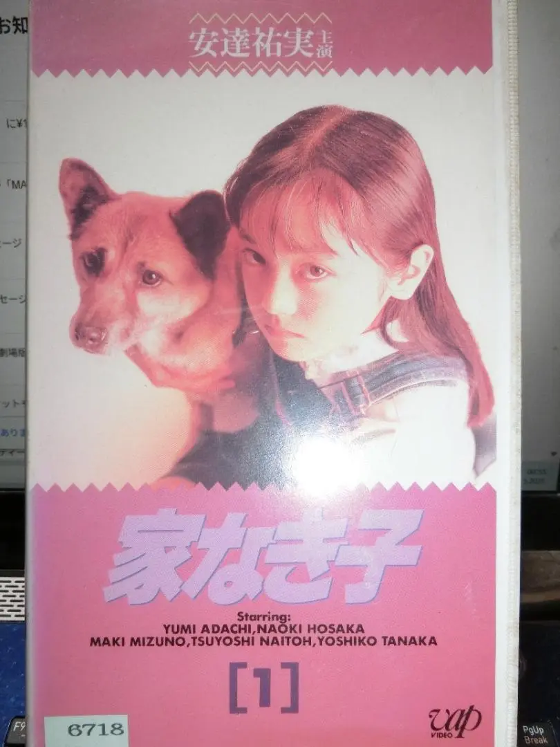 Amazon.co.jp: 家なき子【劇場版】 [VHS] : 安達祐実, 細野英延