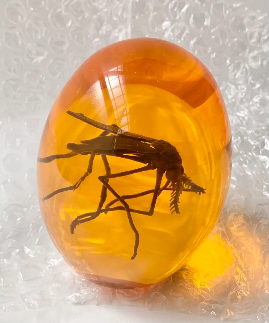 Thumbnail of Jurassic 3D Mosquito in Amber Resin | True 3D Original Design