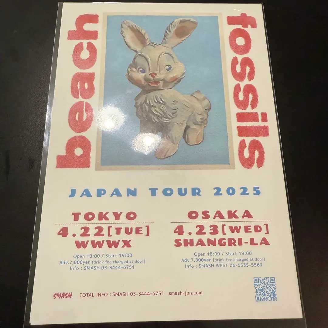 【新品未開封】【レコード】Beach Fossils バニー BEACH FOSSILS / BUNNY (BLUE VINYL) [LP - PLP-7559CB]：10s