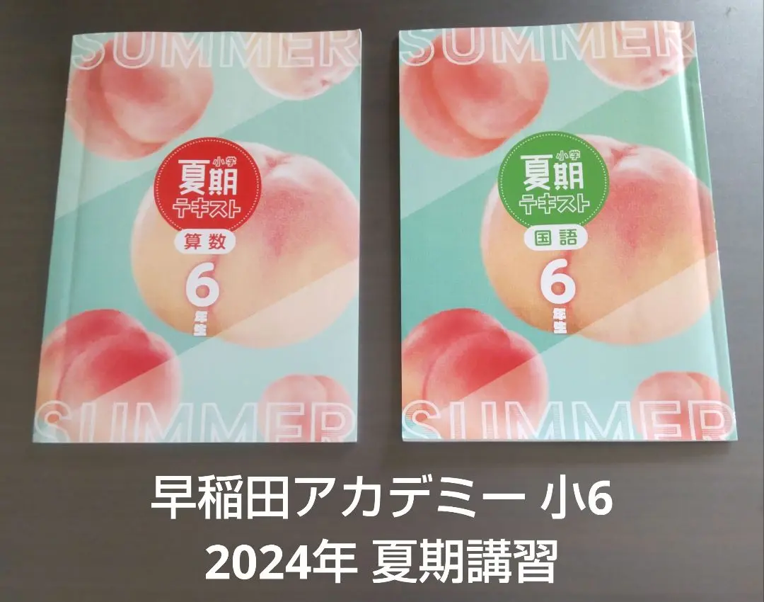早稲アカ2024-2025NN早稲田中　土曜講座【算数】【理科】２教科　テキスト 早稲アカ2025年受験 理科マスターテキスト6年SSクラス用 - メルカリ