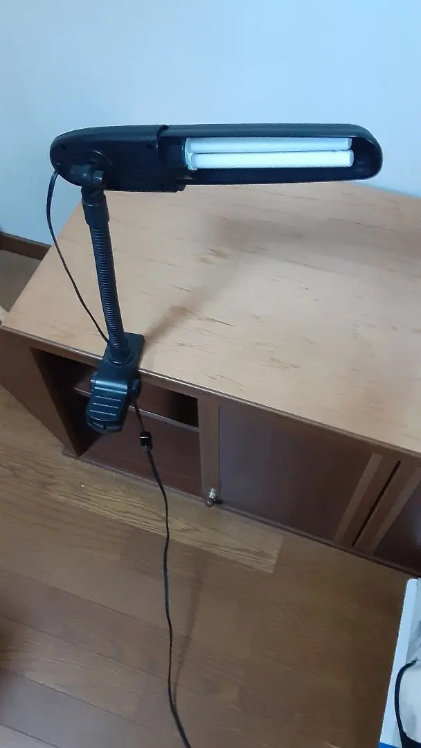 Thumbnail of Black Clip Light, Adjustable