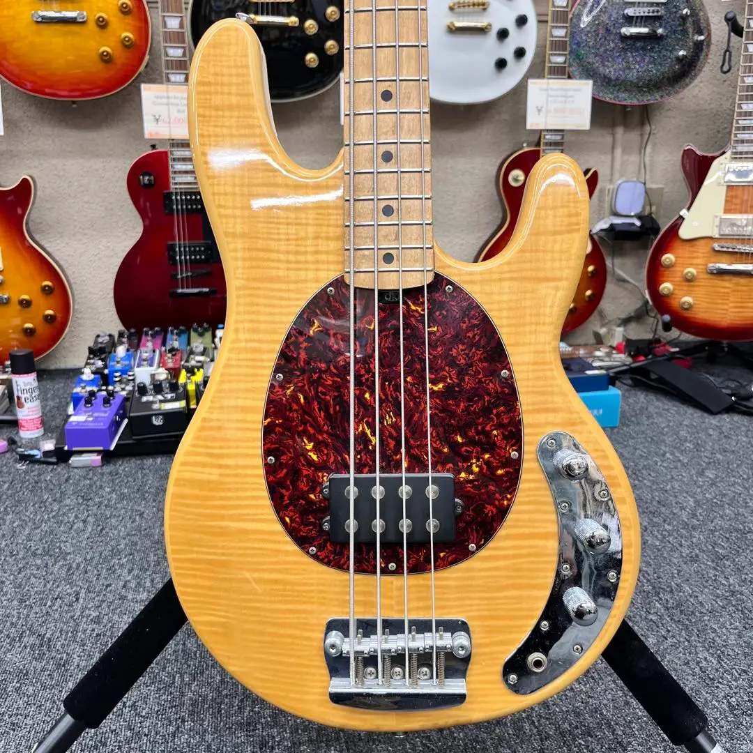 OLP ベース　musicman sting ray 現状渡しです❗️ Amazon | スターリン ミュージックマン 5弦ベース Sterling By