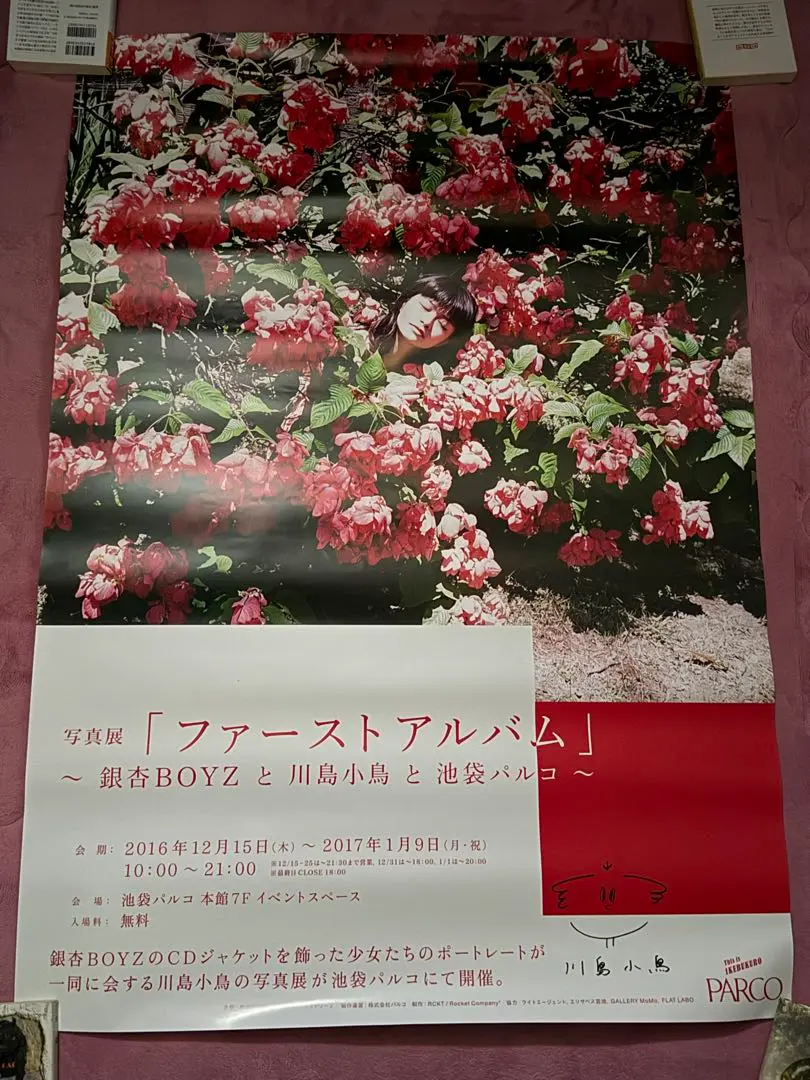 2025年最新】峯田和伸 サインの人気アイテム - メルカリ