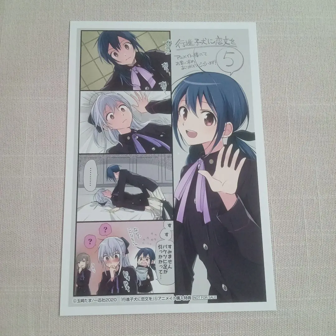 戀慕行進的小狗 5卷 Animate特典插畫卡 玉崎たま 一迅社 的縮圖