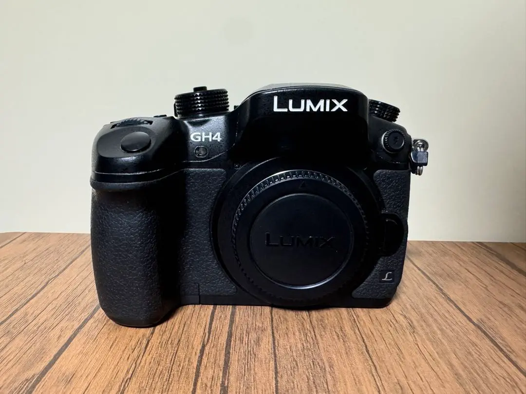 最終値下げ］Panasonic LUMIX DC-GH5M V-Log拡張済