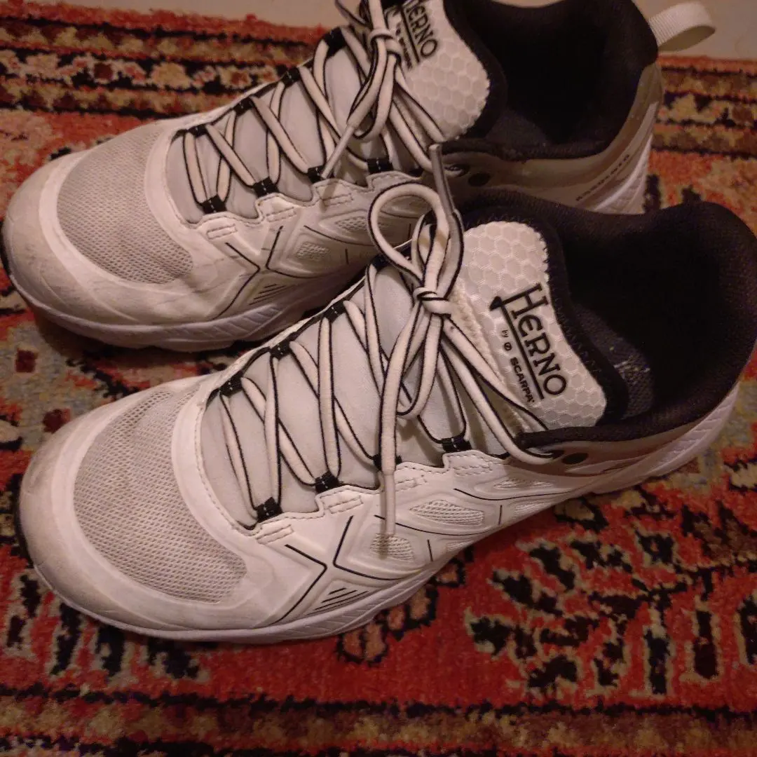♡新品未使用♡HERNO スニーカー♡ ヘルノ スニーカー 新品未使用 HERNO by SCARPA 36‼︎ - メルカリ