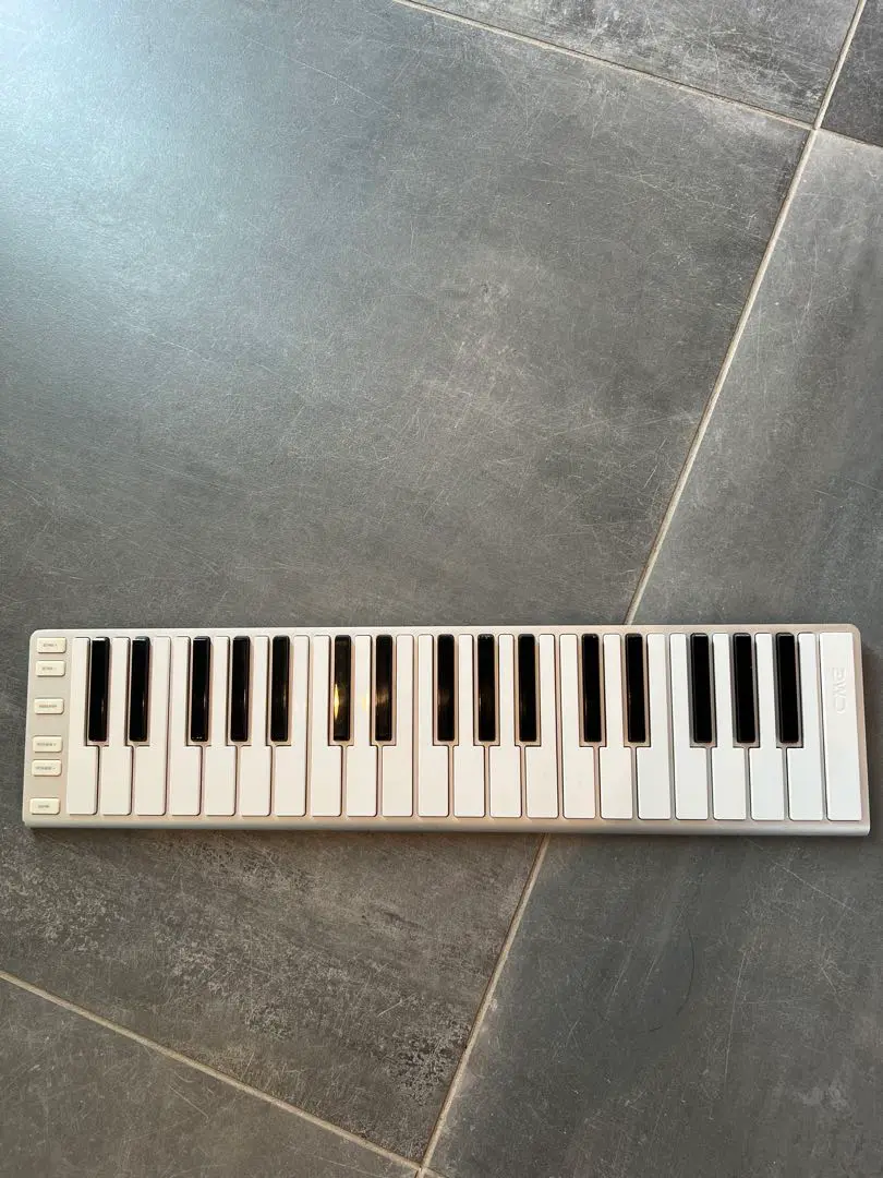 61kRxUnDiQL._UF894,1000_QL80_.jpg