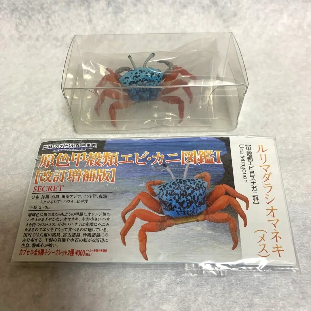 Amazon | 海洋堂 カプセルQ ミュージアム 日本カニ大全 タイワン