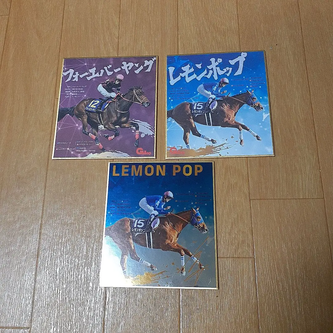 競馬　ミニ色紙　サイン　ゴールドシップ　イクイノックス　フォーエバーヤング 2025年最新】フォーエバーヤング 色紙の人気アイテム - メルカリ