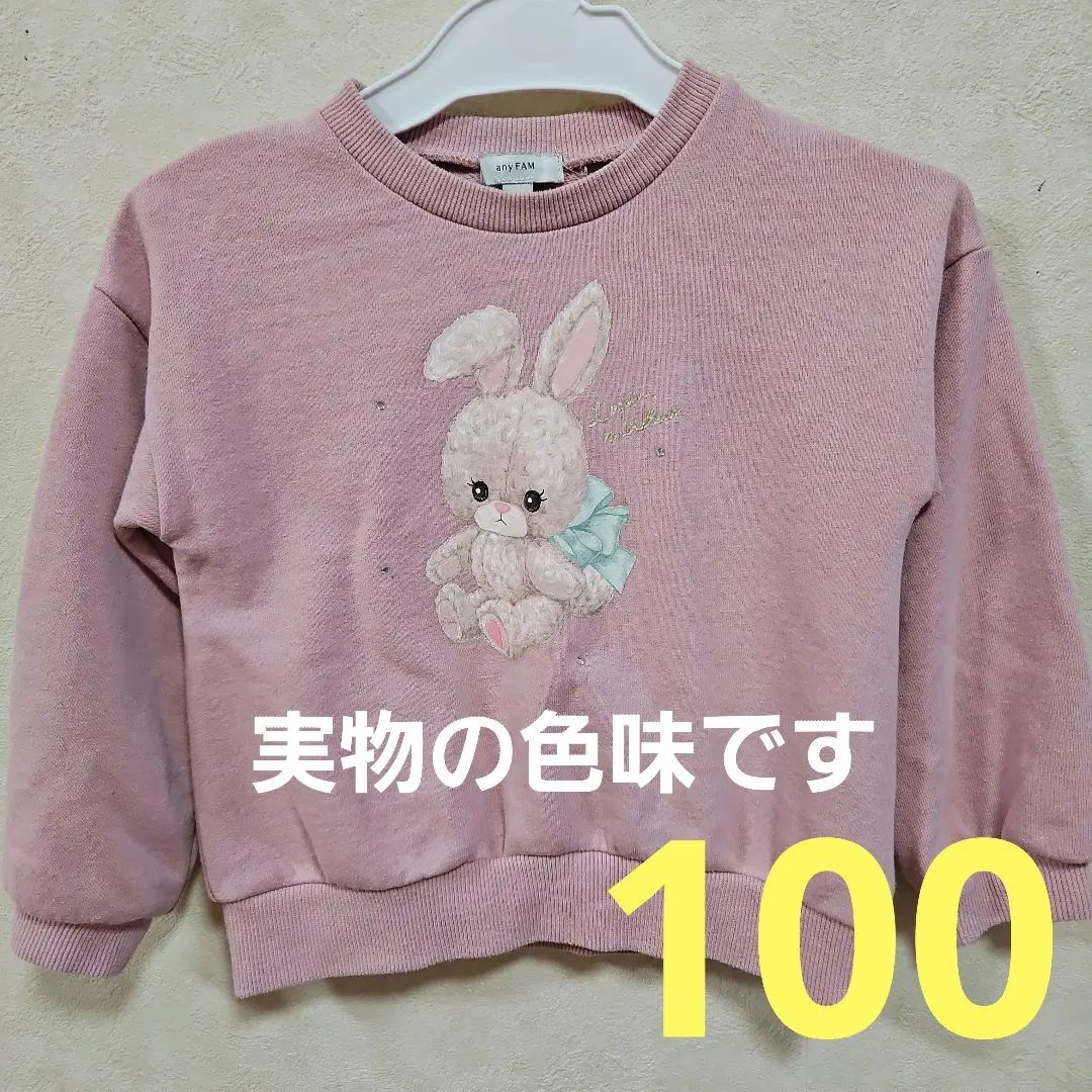 Thumbnail of any FAM Rabbit-chan 100 size sweatshirt pink