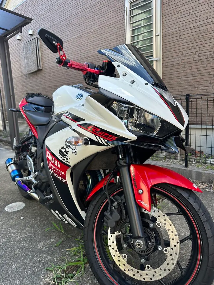 2025年最新】YZF-R25 プラナスの人気アイテム - メルカリ