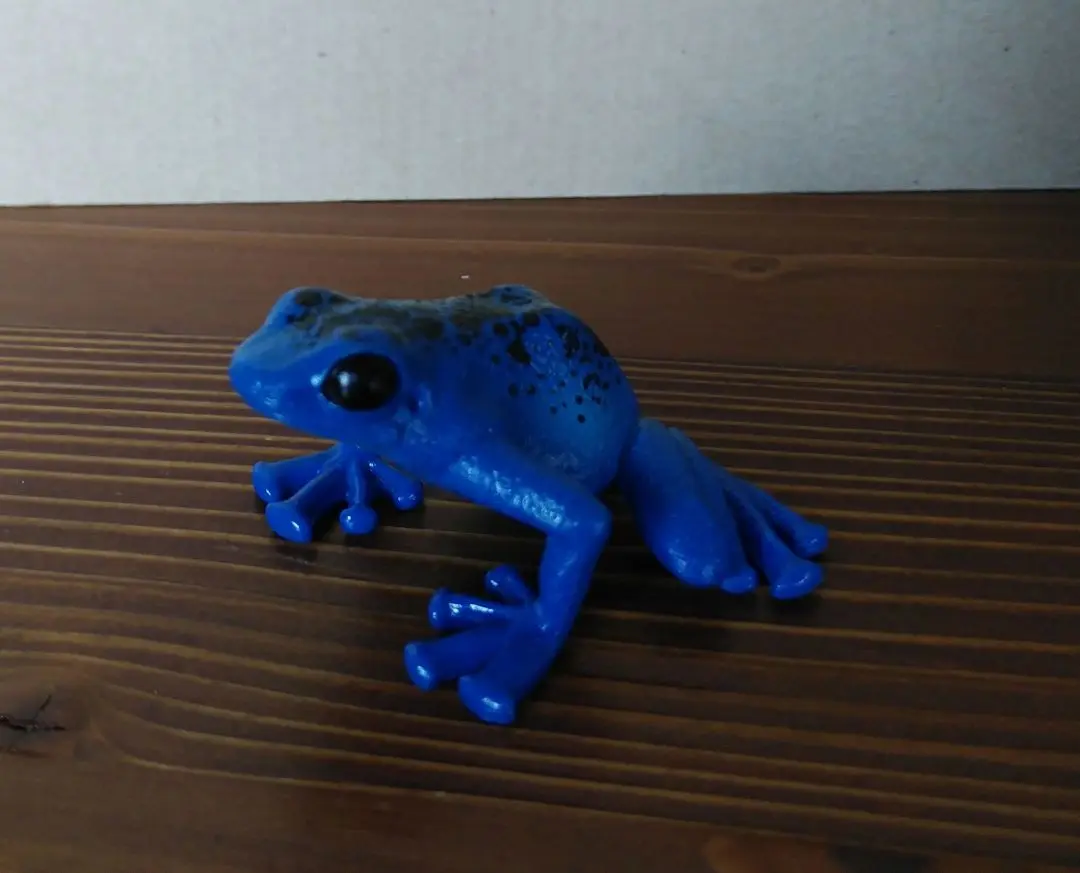 【新品未使用】毒ガエル　ぬいぐるみ　4種セット Amazon.co.jp: ザ・アクセス ぬいぐるみ コバルトヤドクガエル