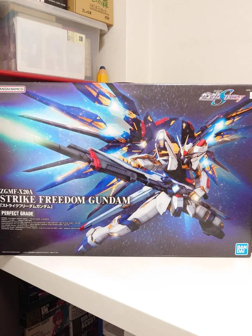 2025年最新】PG 1/60 ZGMF-X20A ストライクフリーダムガンダム の人気
