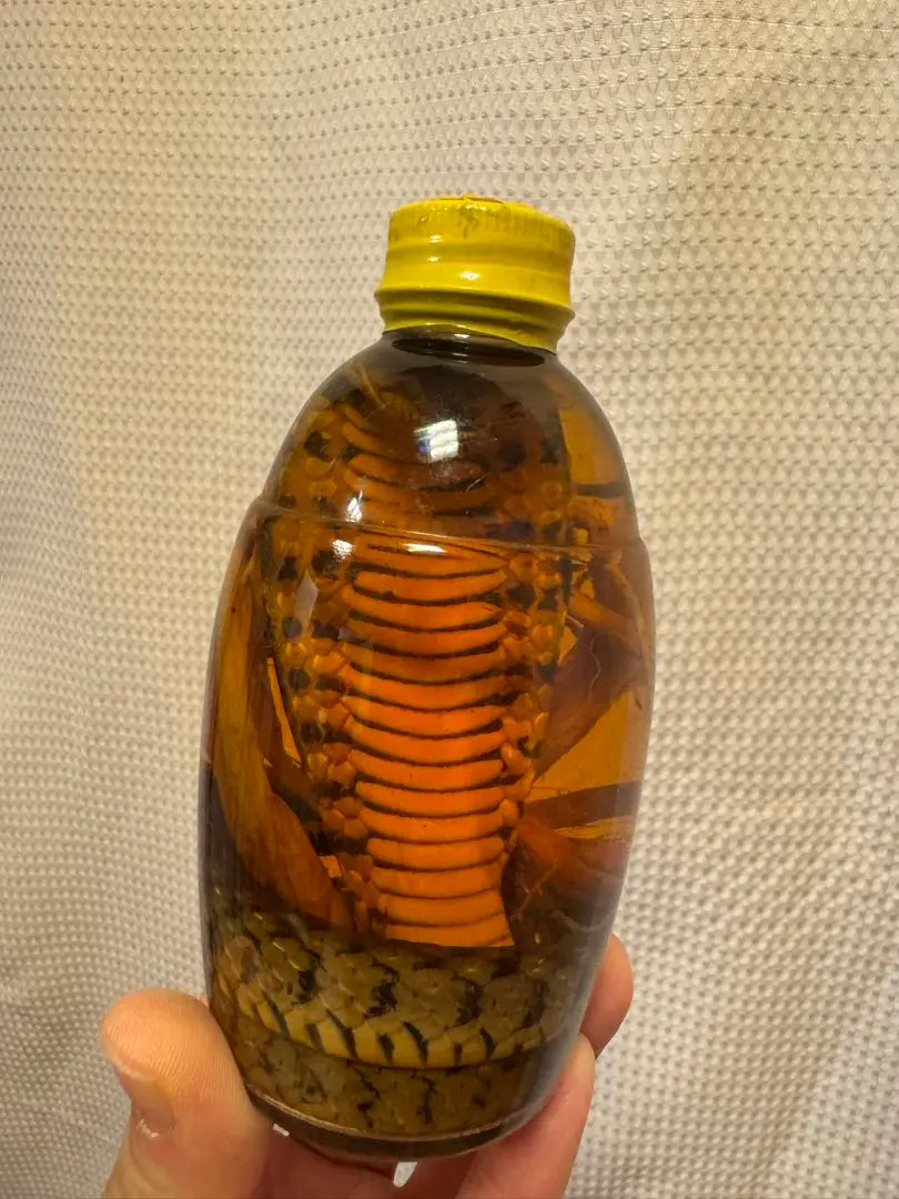 コブラ酒 サソリ酒 巳年 開運 m22390341569_1.jpg?1728712529