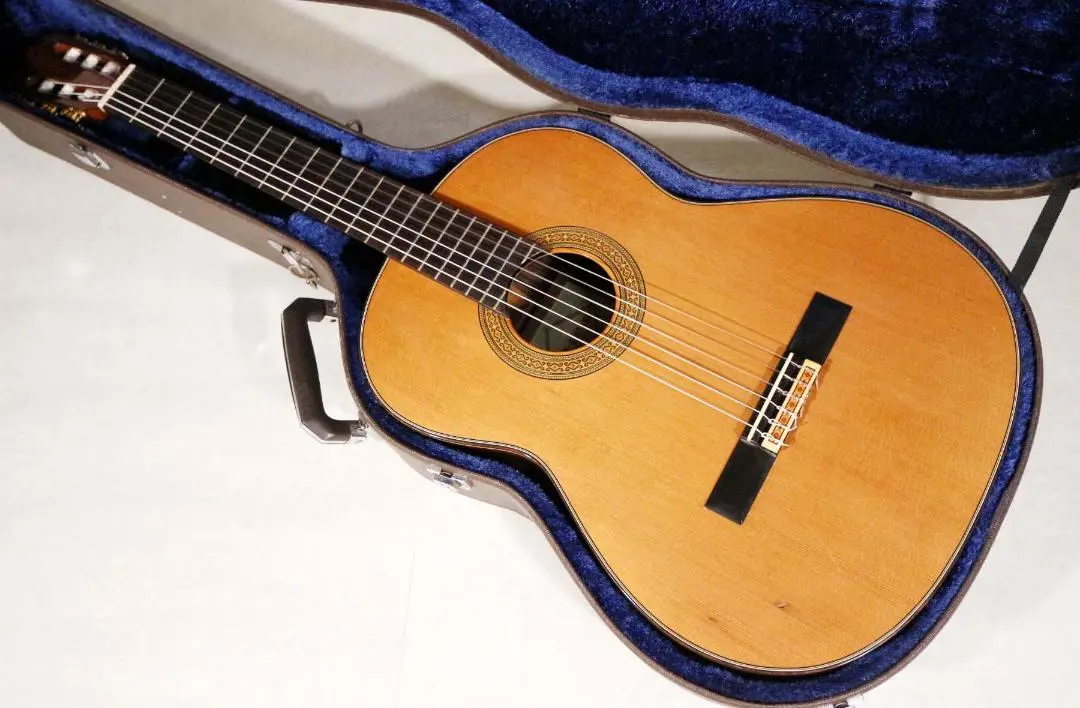 2025年最新】Ecole guitareの人気アイテム - メルカリ