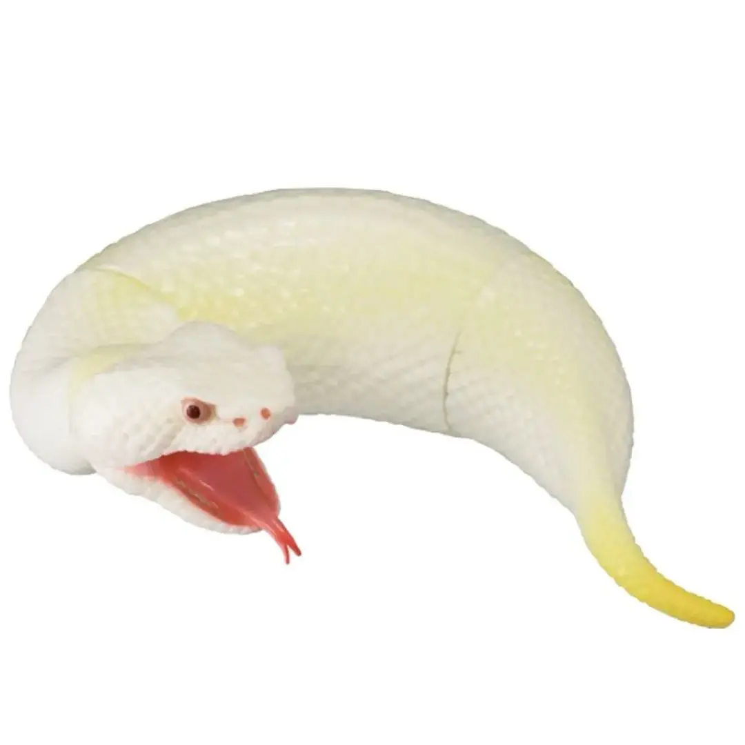 2個セット 限定品】白ツチノコ（アルビノ） ソフビトイボックス