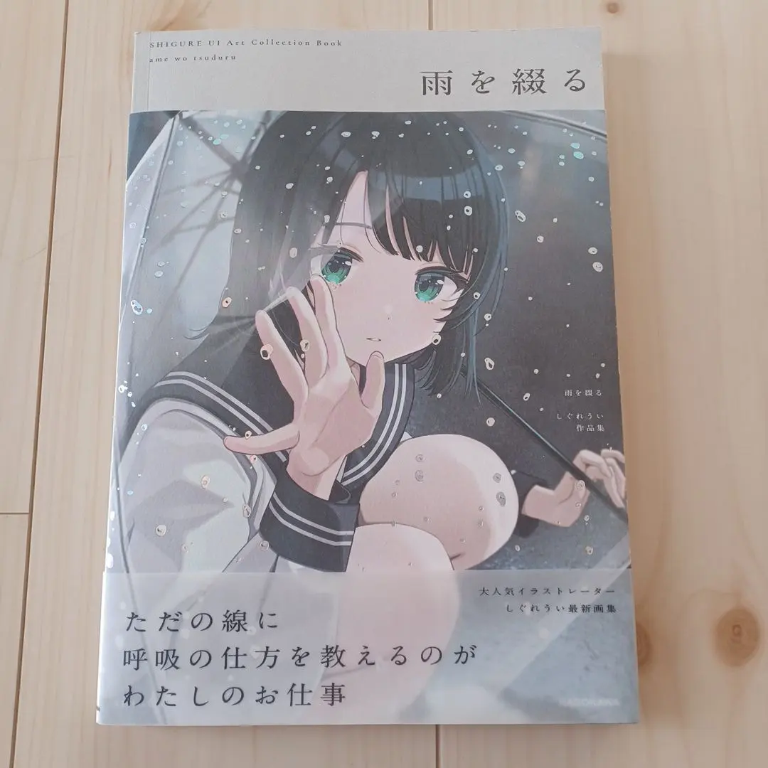 Thumbnail of Rain Chronicles: An Illustration Collection by KADOKAWA