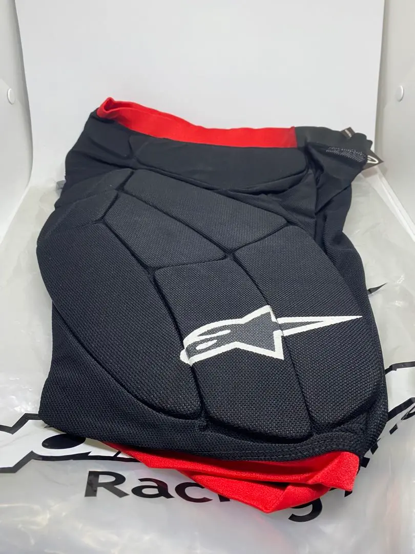 2025年最新】alpinestars アルパインスターズ メッシュパンツの