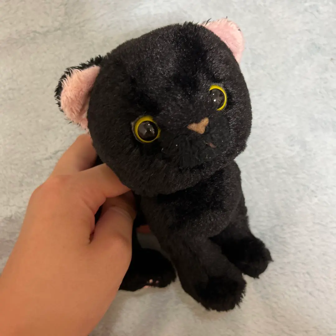 Thumbnail of black cat stuffed animal