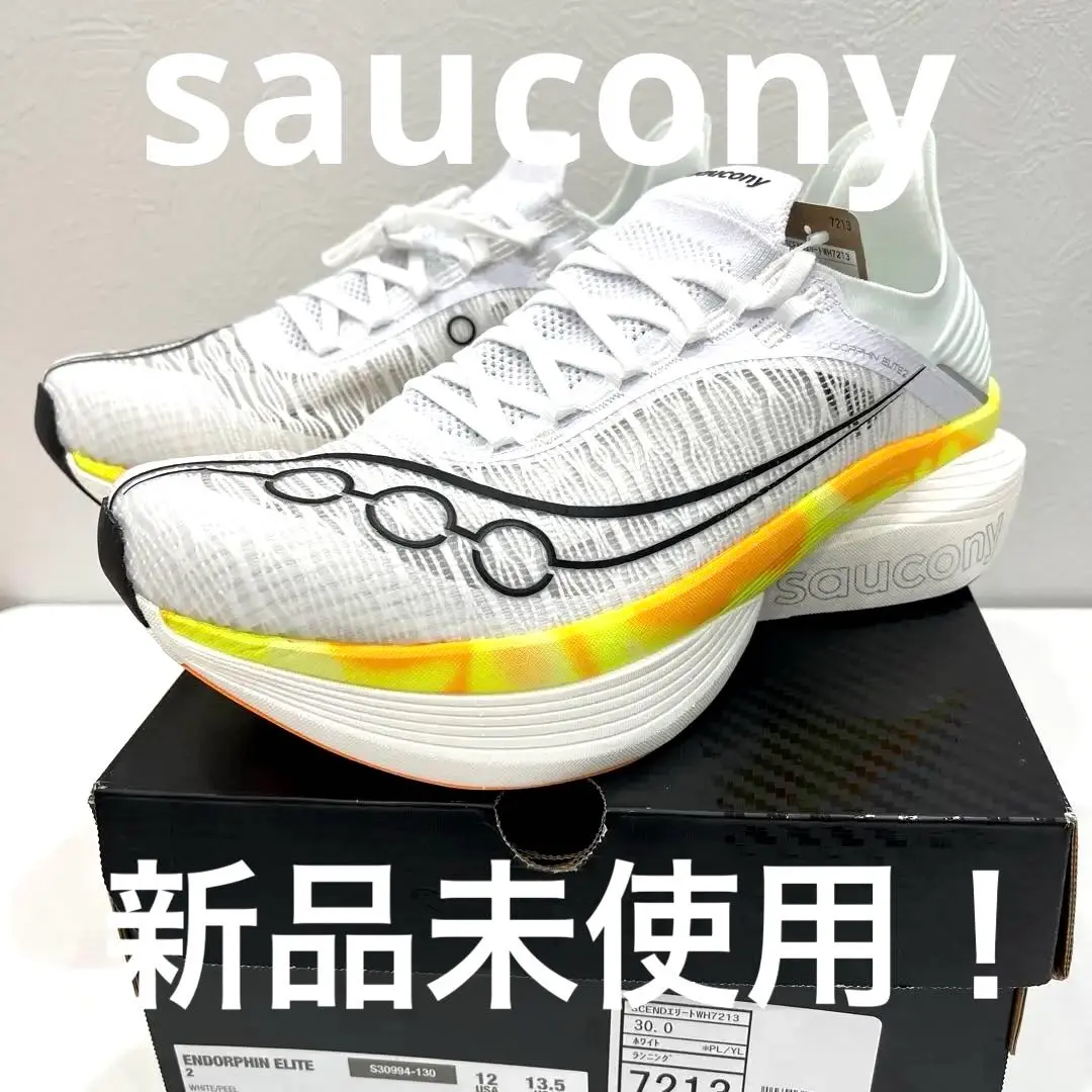 値下げしました、早い者勝ちです【美品：２５.０ｃｍ】エンドルフィン エリート 2025年最新】サッカニー エンドルフィンエリートの人気アイテム