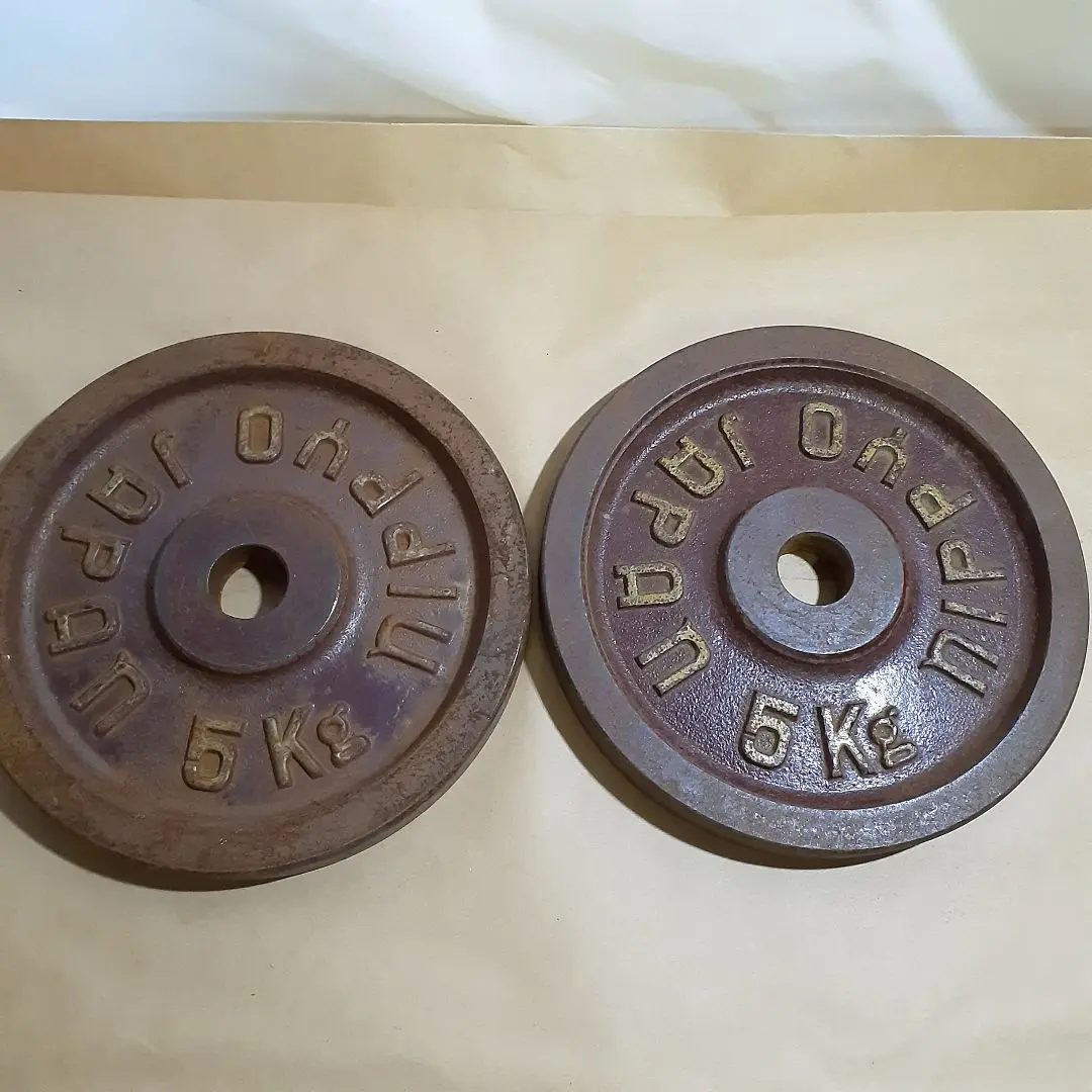 NIPPYO JAPAN バーベル プレート NIPPYO JAPAN バーベルプレート 5kg×2枚 筋トレ バーベル