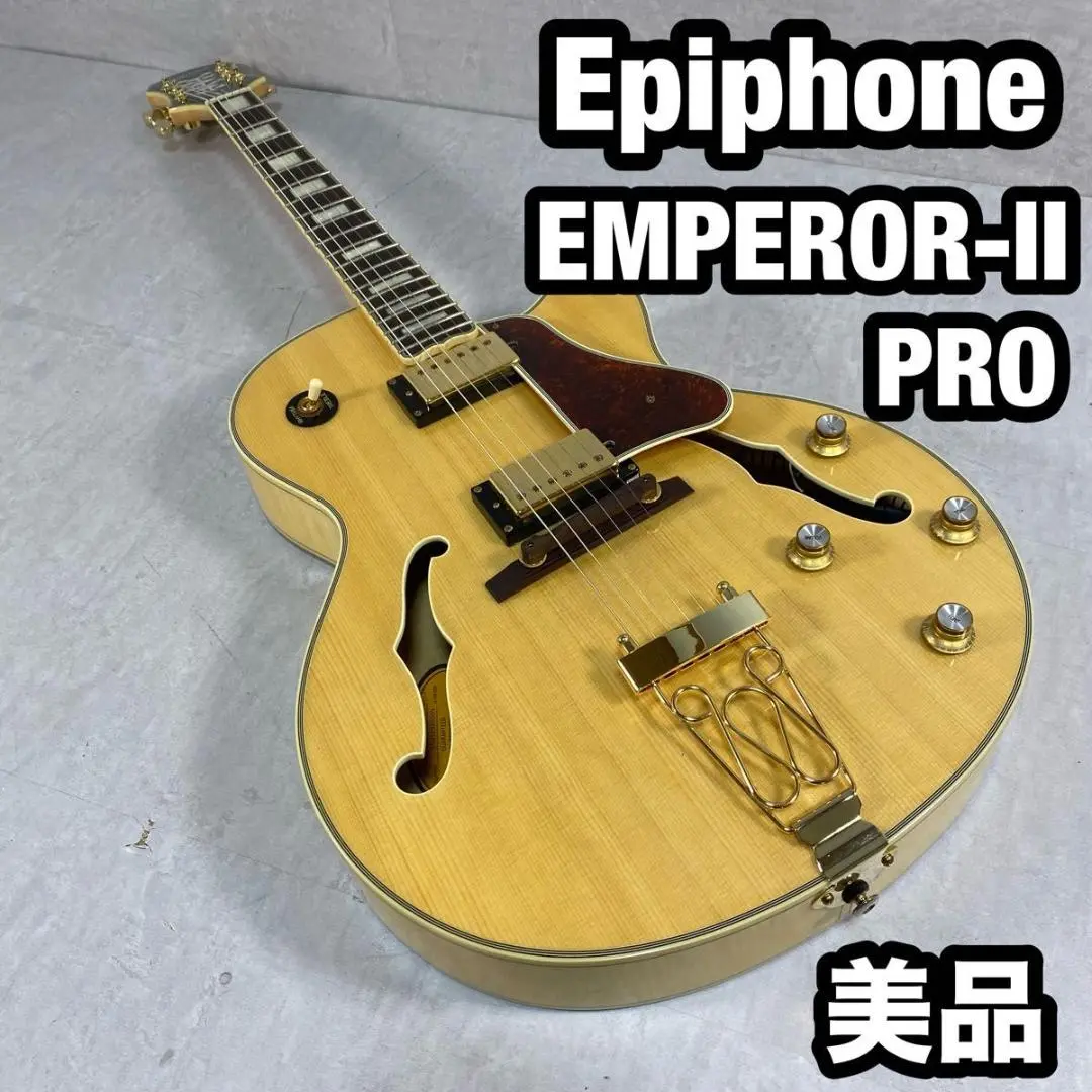 未使用品　エピフォン　ジョーパス 2025年最新】epiphone joe pass emperorの人気アイテム - メルカリ