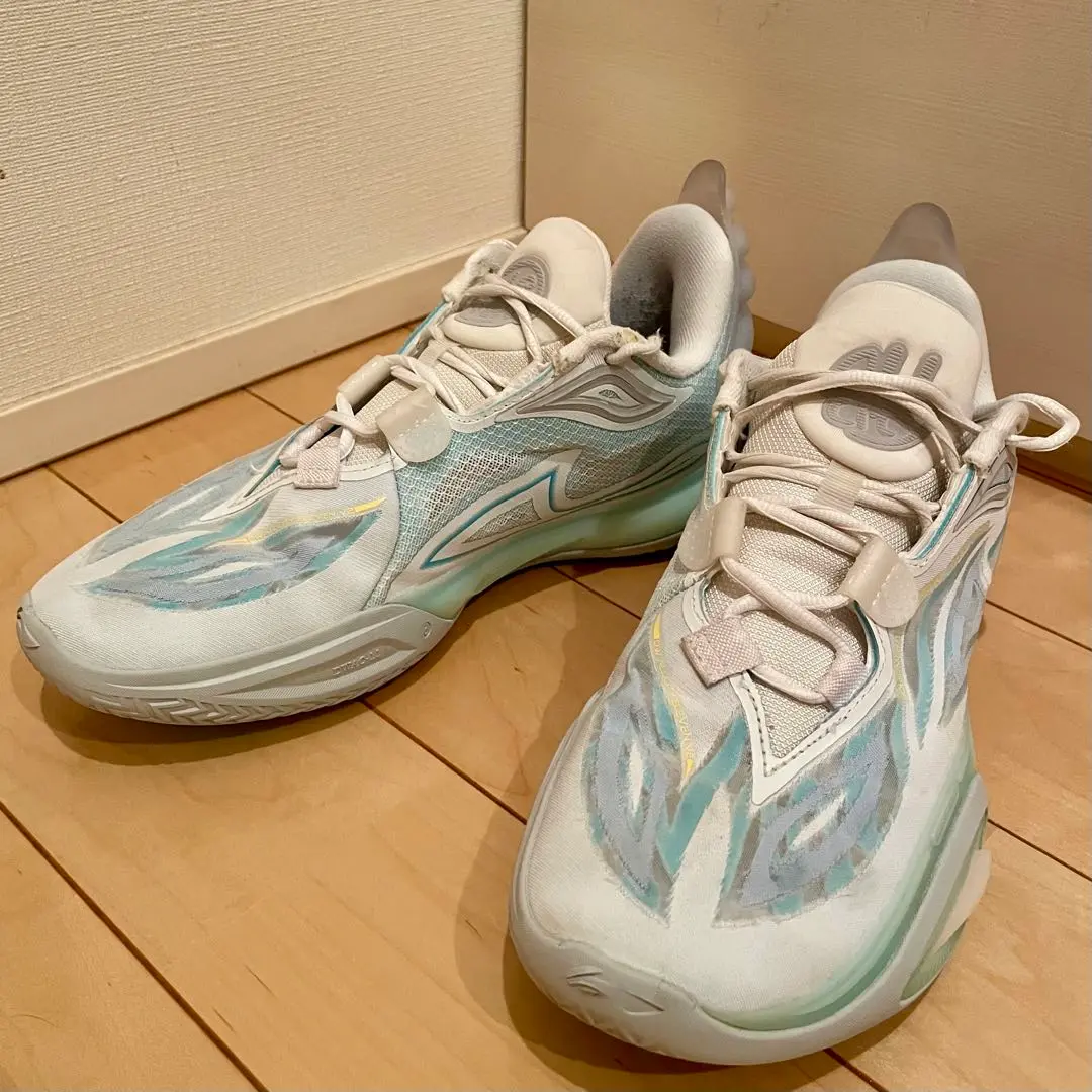 ⭐︎最終お値下げ⭐︎リーニンウェイドAll City慈愛バスケットシューズ Wade All City 11 V2 「慈愛」 | 最高のメンズバッシュ