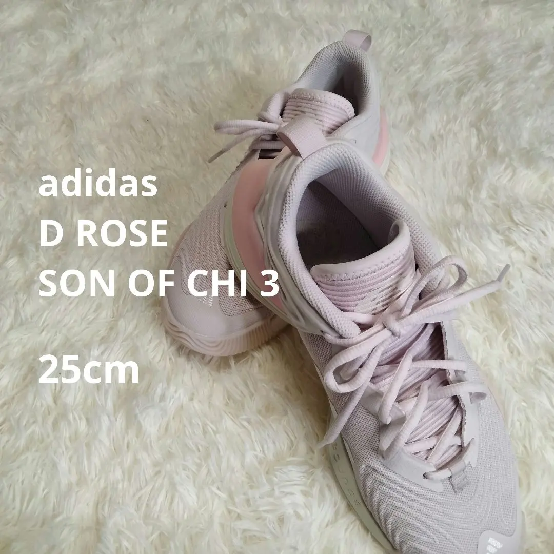 ●【未使用級✨️】アディダス SON OF CHI 3 25cm ピンク adidas D Rose Son of Chi 3 