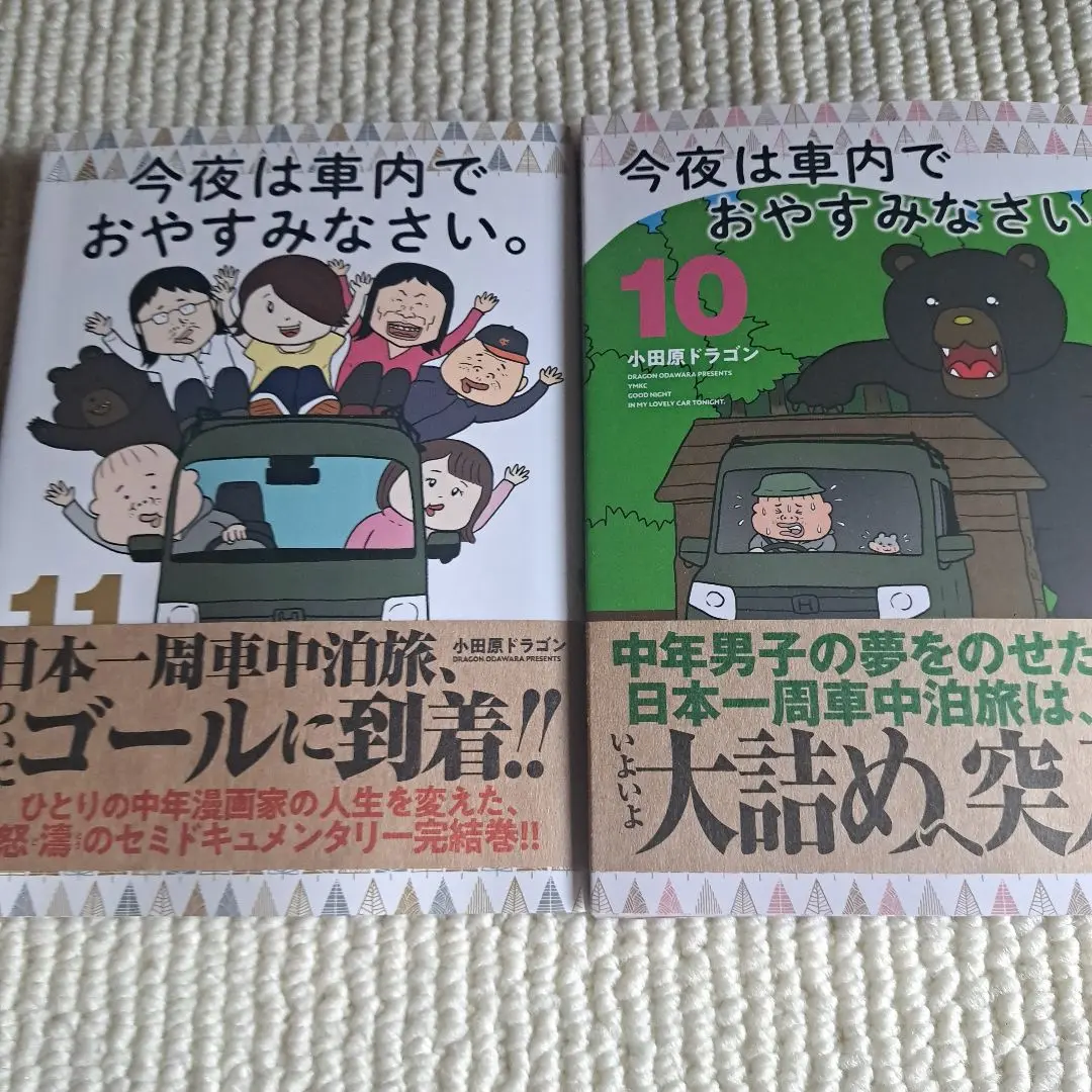 【しらさぎ】今夜は車内でおやすみなさい。 1〜10巻セット Amazon.co.jp: 今夜は車内でおやすみなさい。(10) (ヤンマガKC