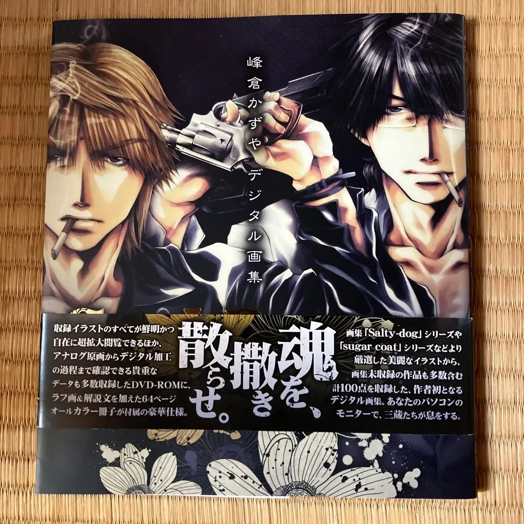 峰倉かずや salty dog 10 イラスト集 原画集 最遊記