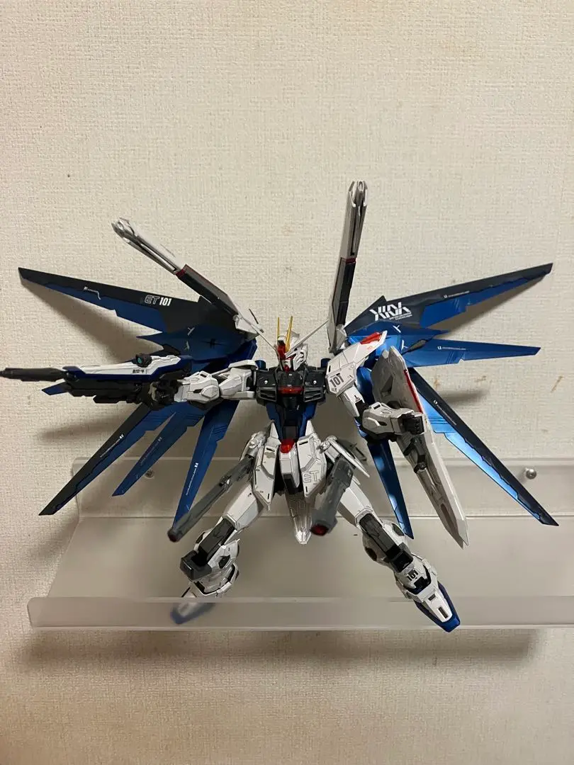 2025年最新】MG フリーダム スペシャルコーティングの人気