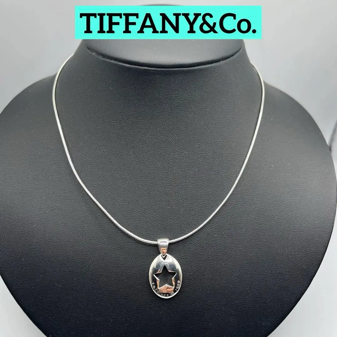 TIFFANY&Co.ティファニー ピアストスター 星 ペンダント ネックレス Tiffany&Co ティファニー ピアストスター 星 ペンダント トップ
