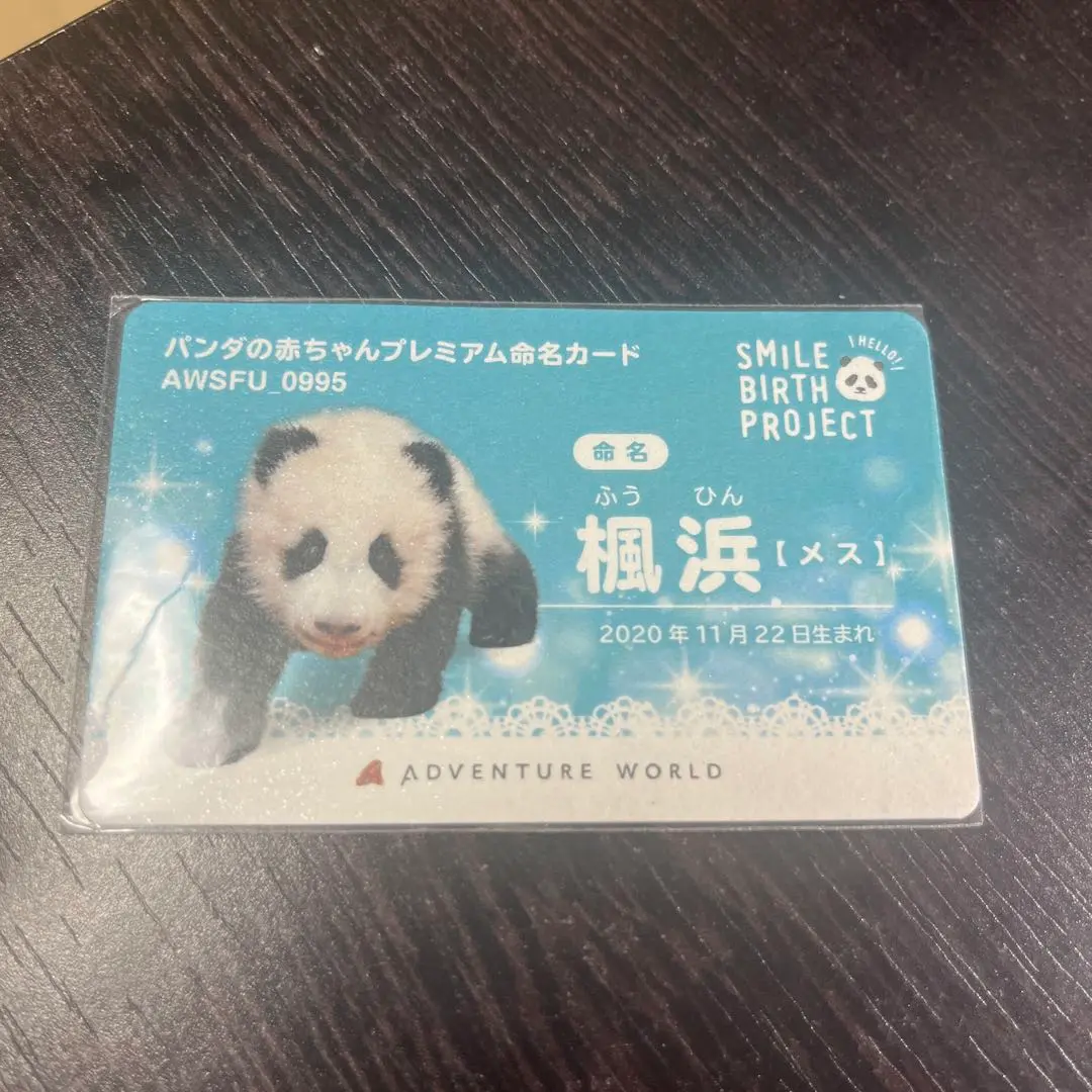アドベンチャー　パンダ　楓浜　命名カード　非売品 2025年最新】楓浜 命名の人気アイテム - メルカリ