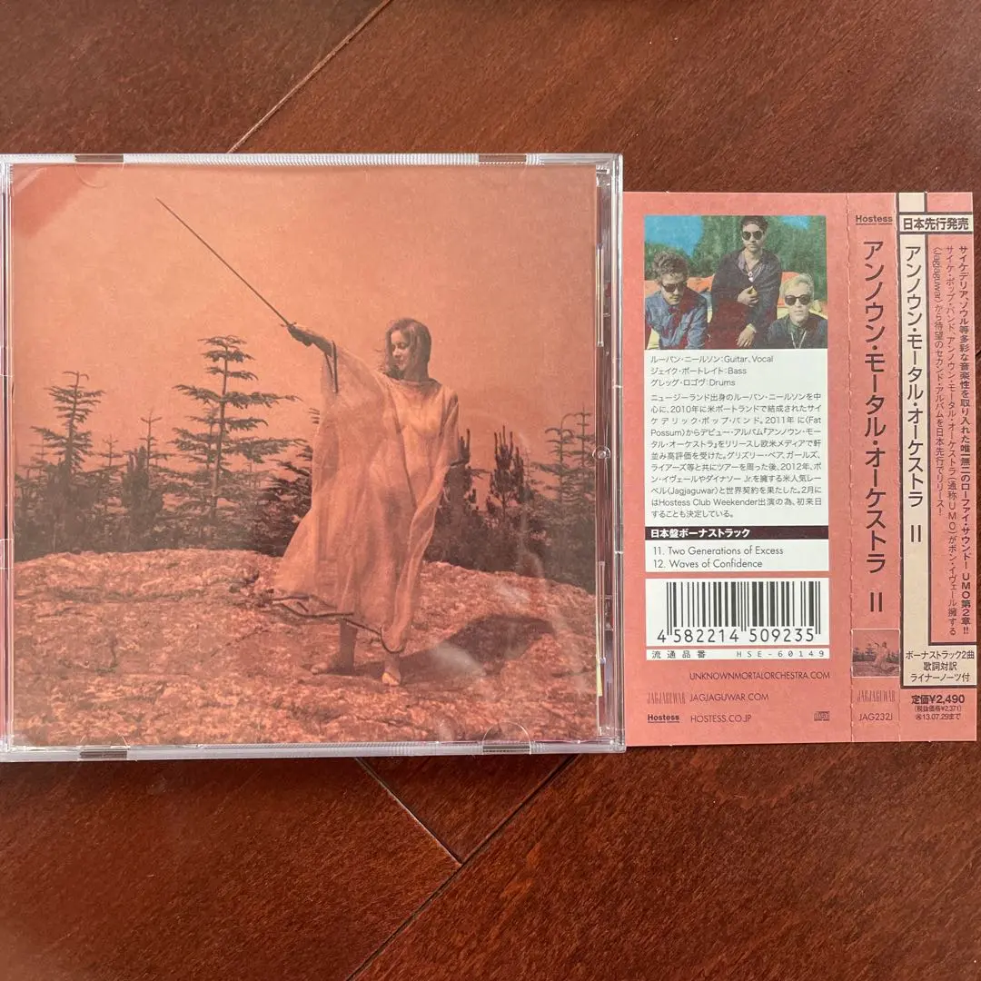 アンノウンモータルオーケストラ　レコード Unknown Mortal Orchestra - II (10 Year Anniversary Reissue