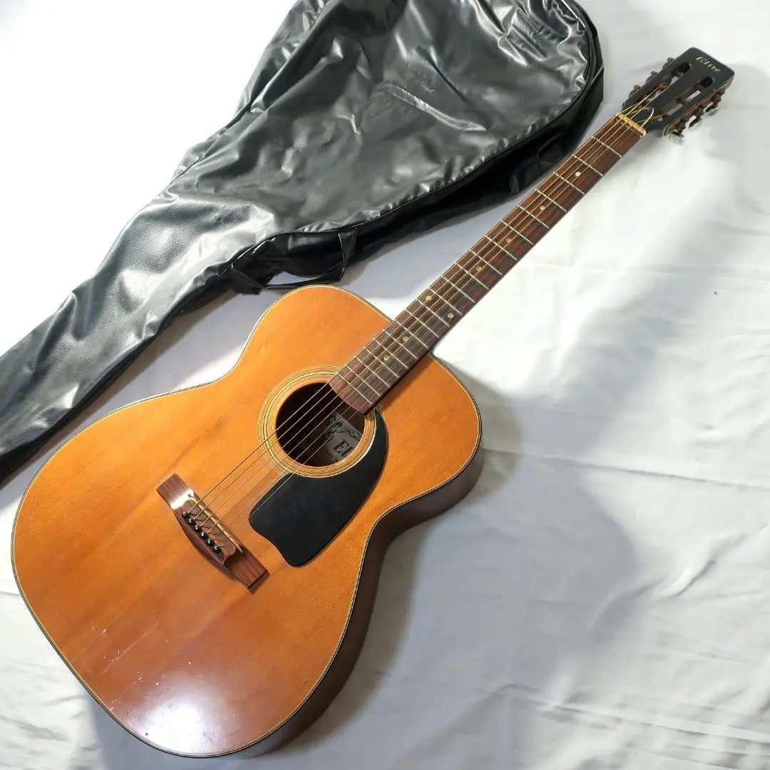 2025年最新】takamine eliteの人気アイテム - メルカリ