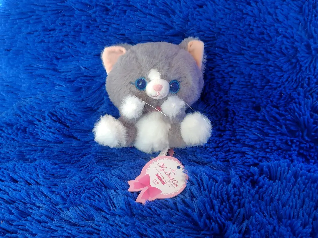 2025年最新】MY little cat ぬいぐるみの人気アイテム - メルカリ
