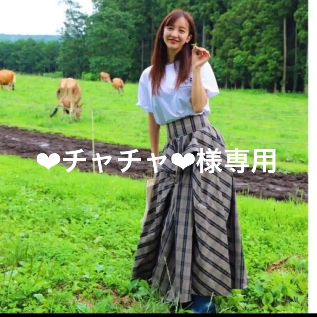 れんさま専用☆石原さとみ すっぴん旅着用スカート れんさま専用☆石原さとみ すっぴん旅着用スカート - メルカリ