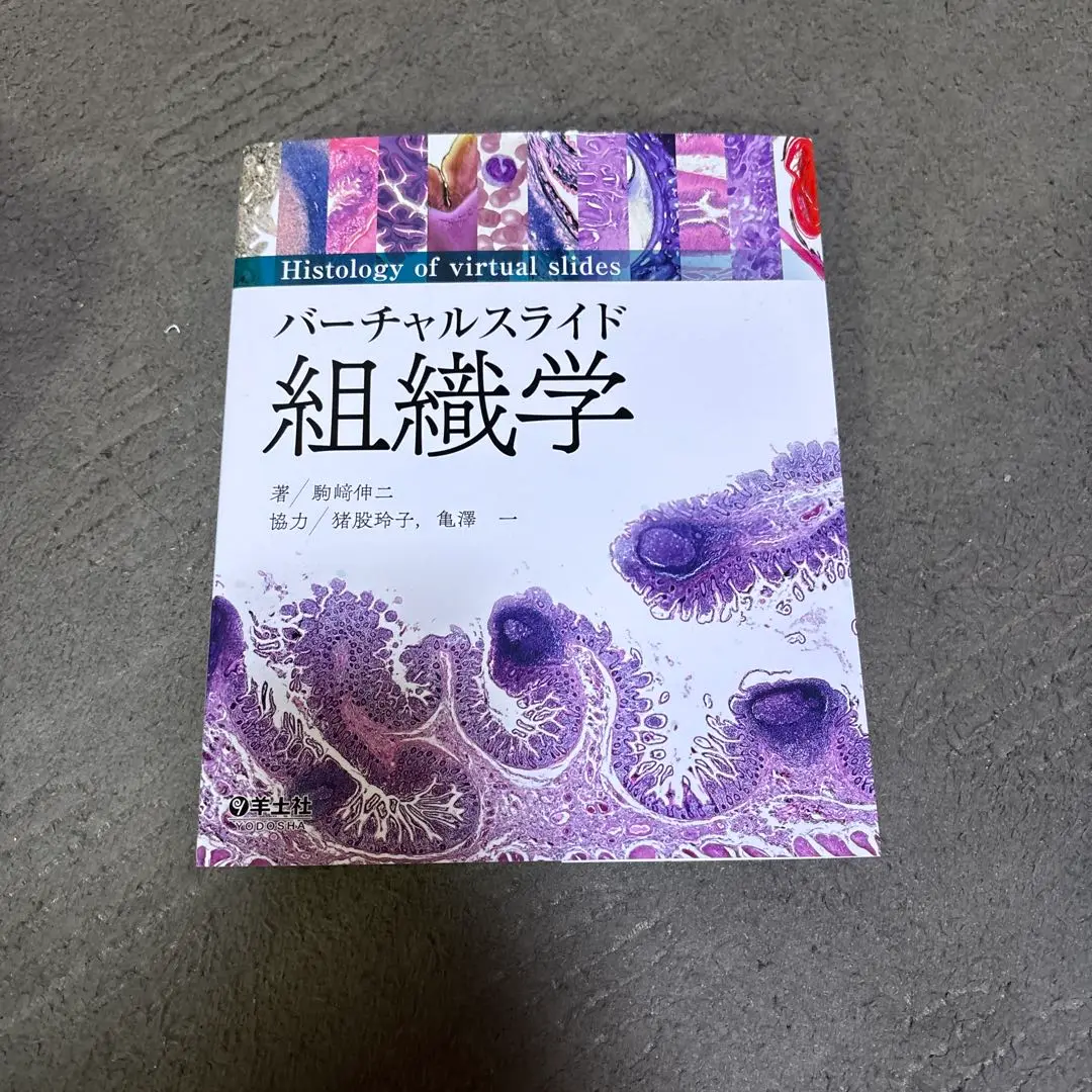 【新品美品　お値下げ可能　コード未使用】バーチャルスライド 組織学 新品美品お値下げ可能コード未使用】バーチャルスライド 組織学