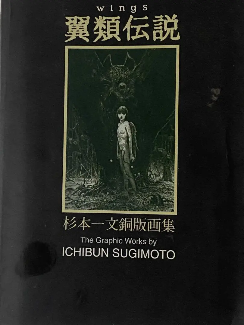 ★初版帯付 杉本一文銅版画集幻想とエロスの桃源郷ICHIBUN SUGIMOTO Amazon.co.jp: 初版帯付 杉本一文銅版画集幻想とエロスの桃源郷