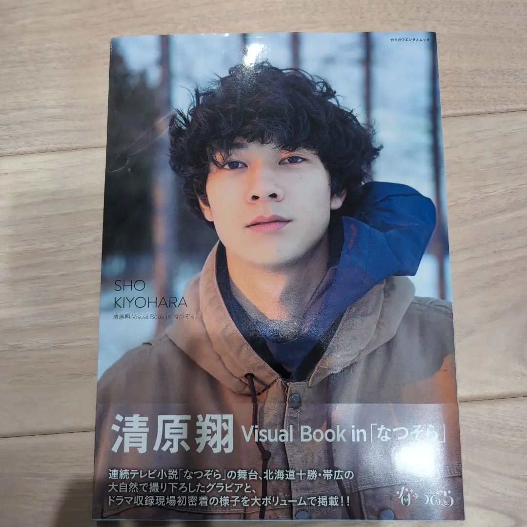 清原翔　Ｖｉｓｕａｌ　Ｂｏｏｋ　ｉｎ「なつぞら」 連続テレビ小説「なつぞら」 清原翔 Visual Book in連続テレビ小説「なつぞら」写真集 - メルカリ
